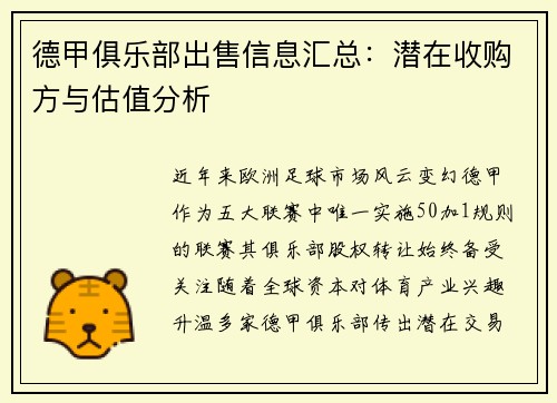 德甲俱乐部出售信息汇总：潜在收购方与估值分析